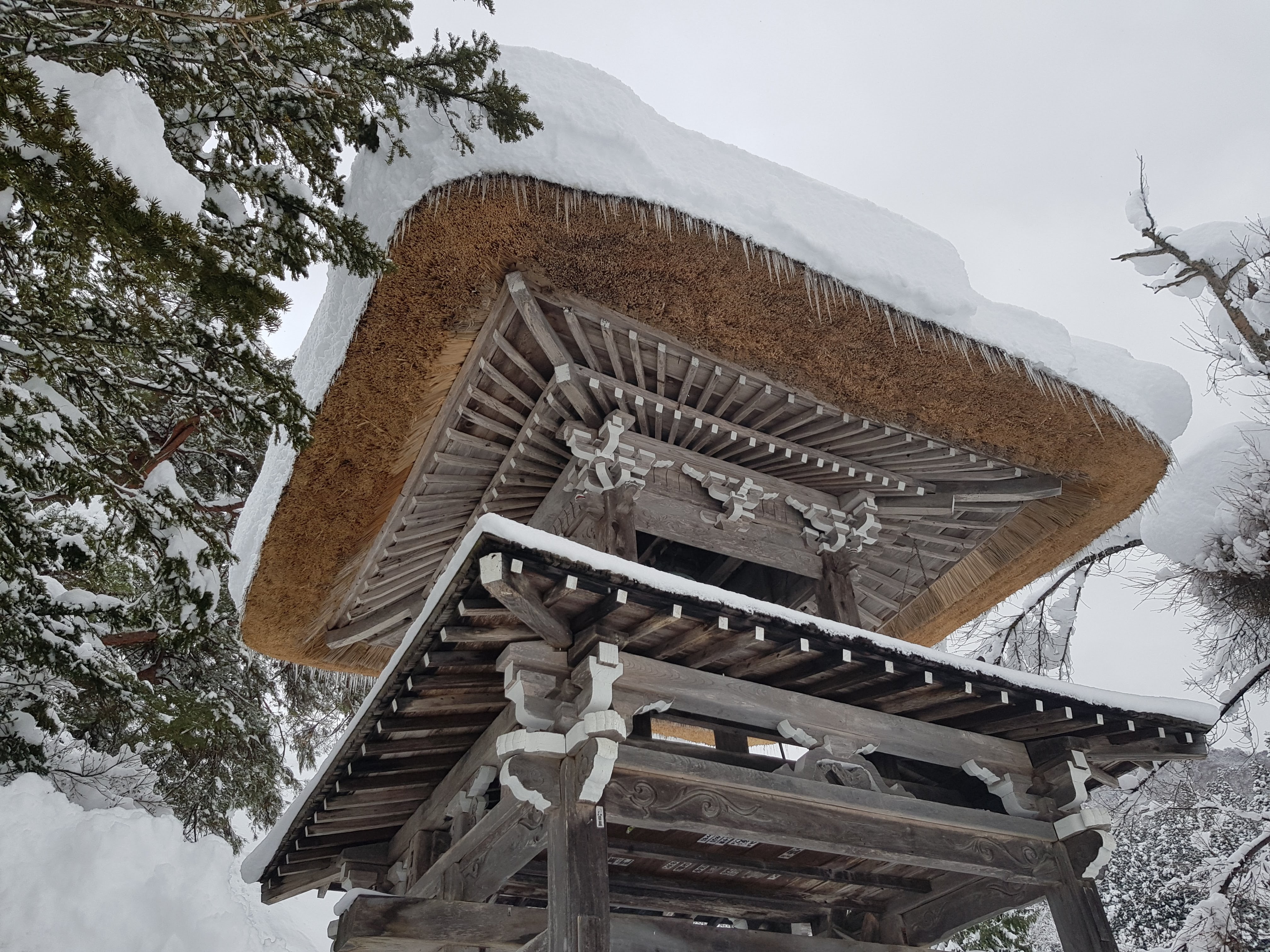 Shirakawago Light-up