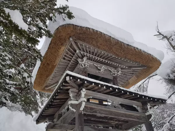 Shirakawago Light-up