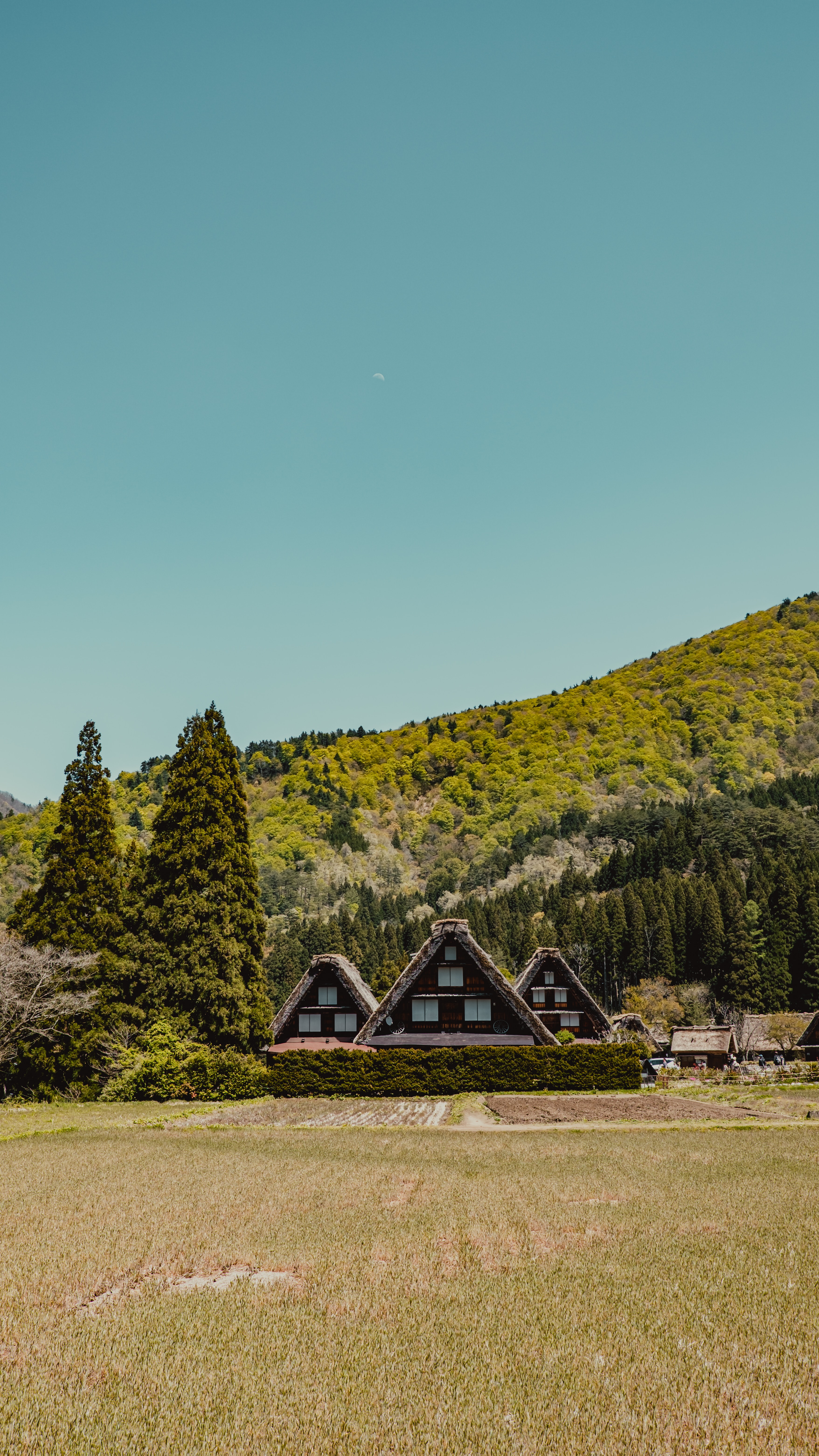 517, Hatotani, Shirakawa-mura, Ono-gun, Gifu 501-5629, Japan