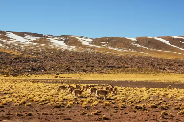 Antofagasta, Chile