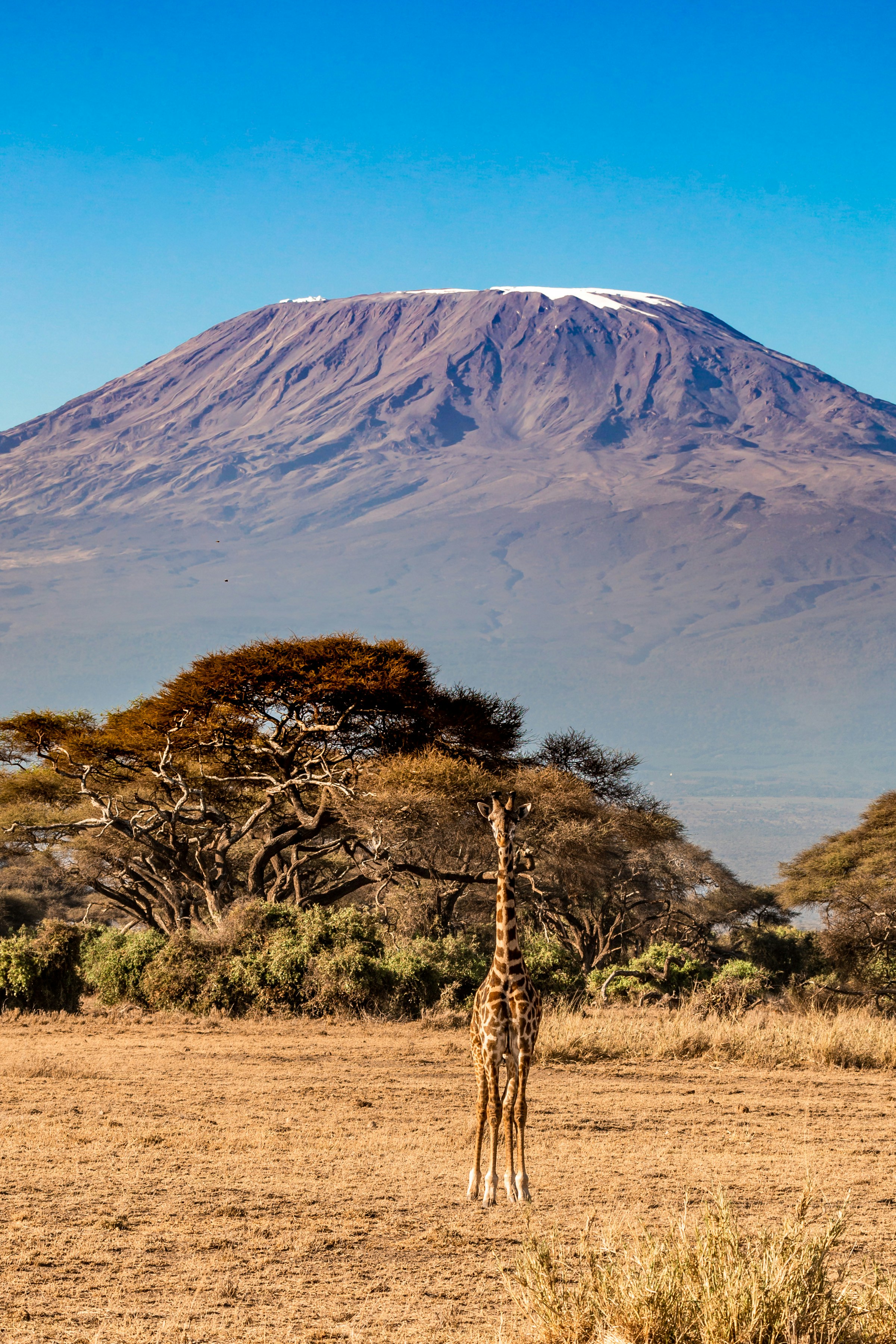 Kajiado, Kenya