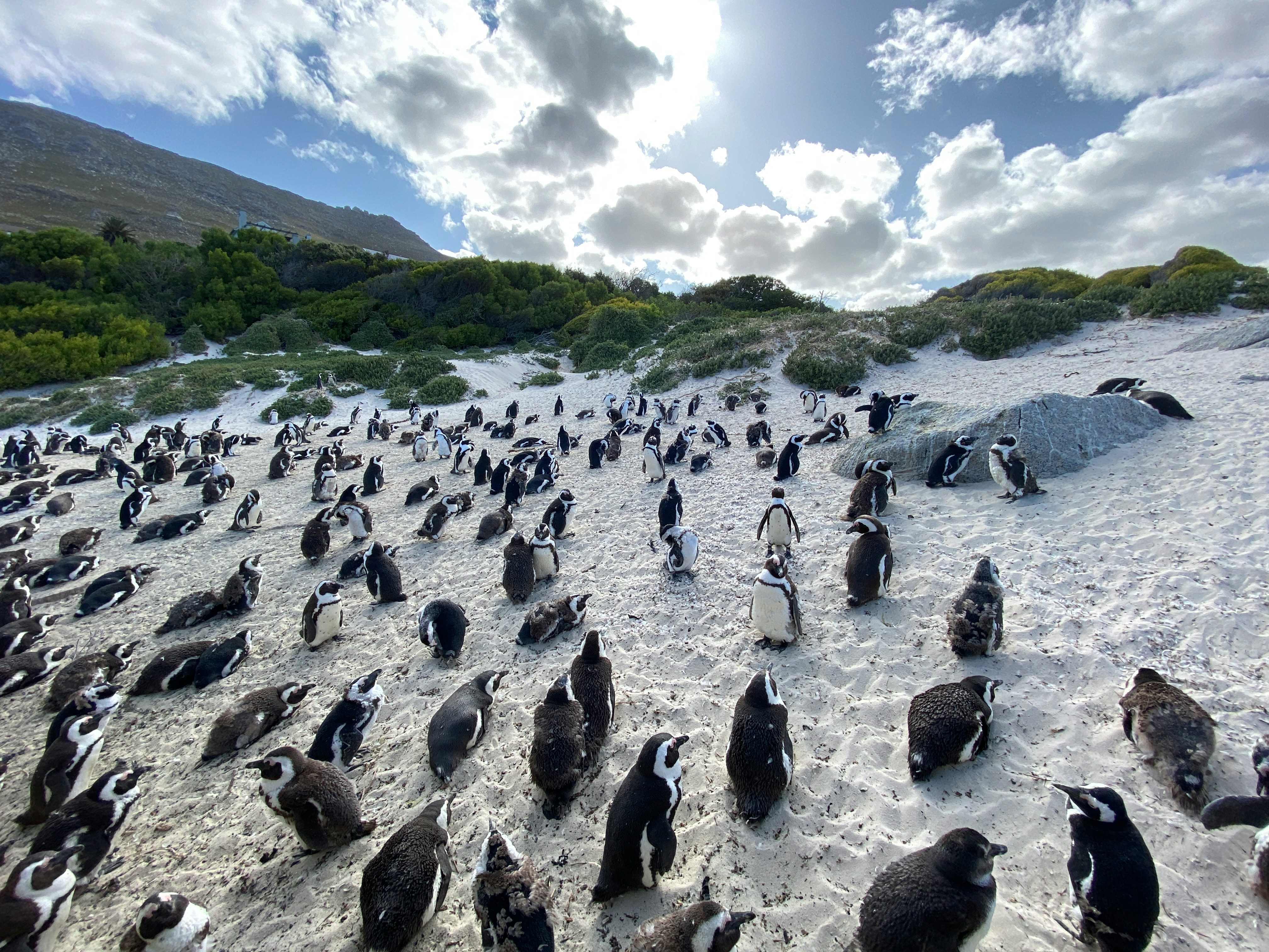 Kleintuin Rd, Simon's Town, 7975, South Africa