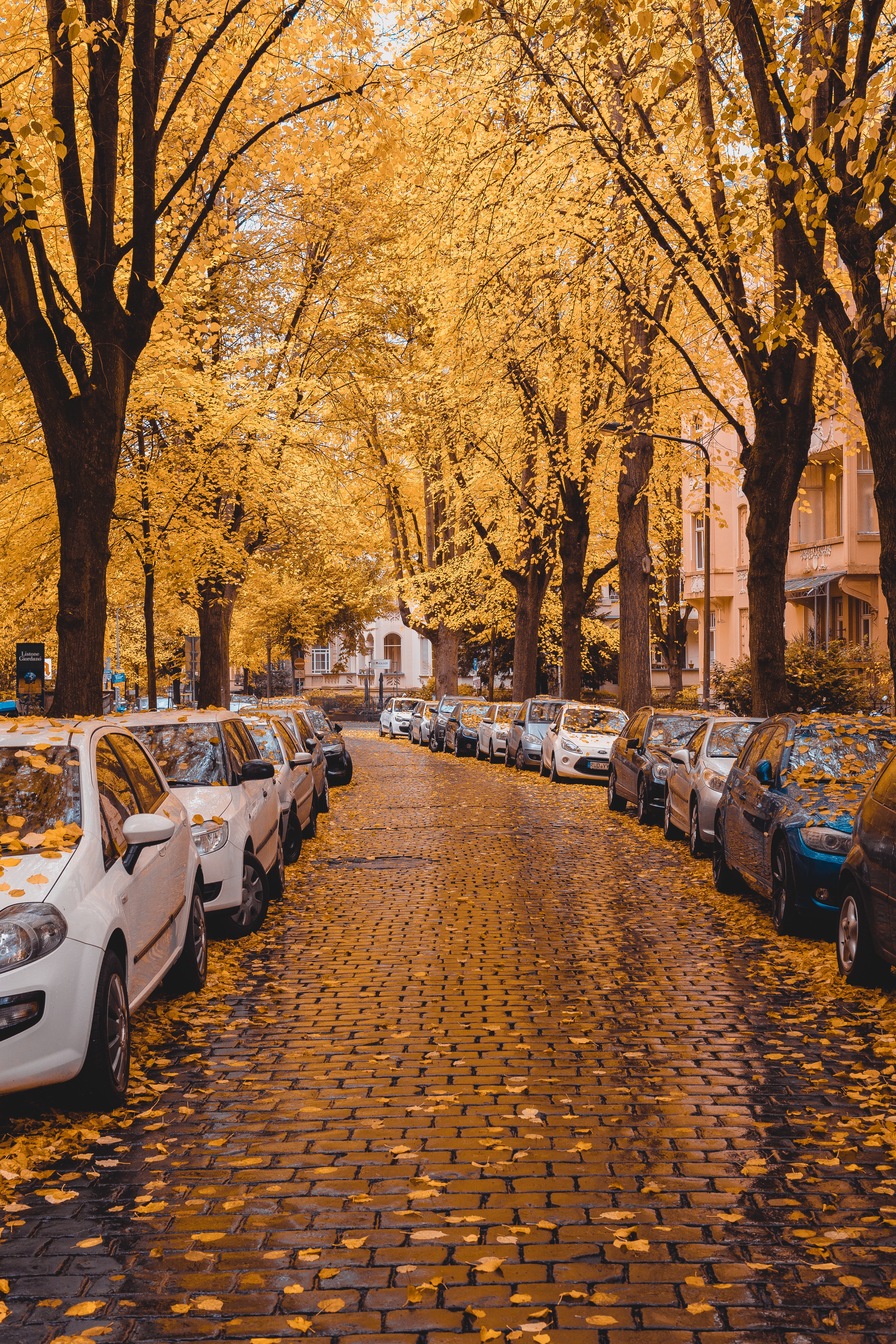 Schlossplatz 1, 65183 Wiesbaden, Germany