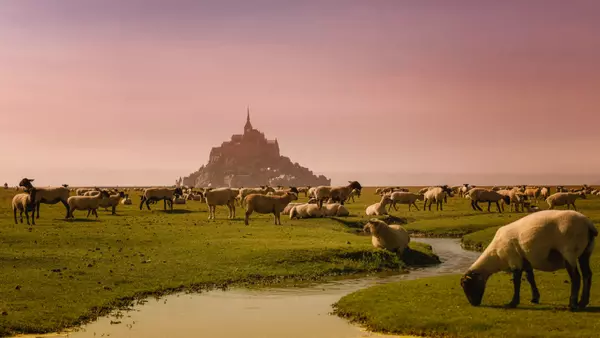 Mont St Michel Abbey