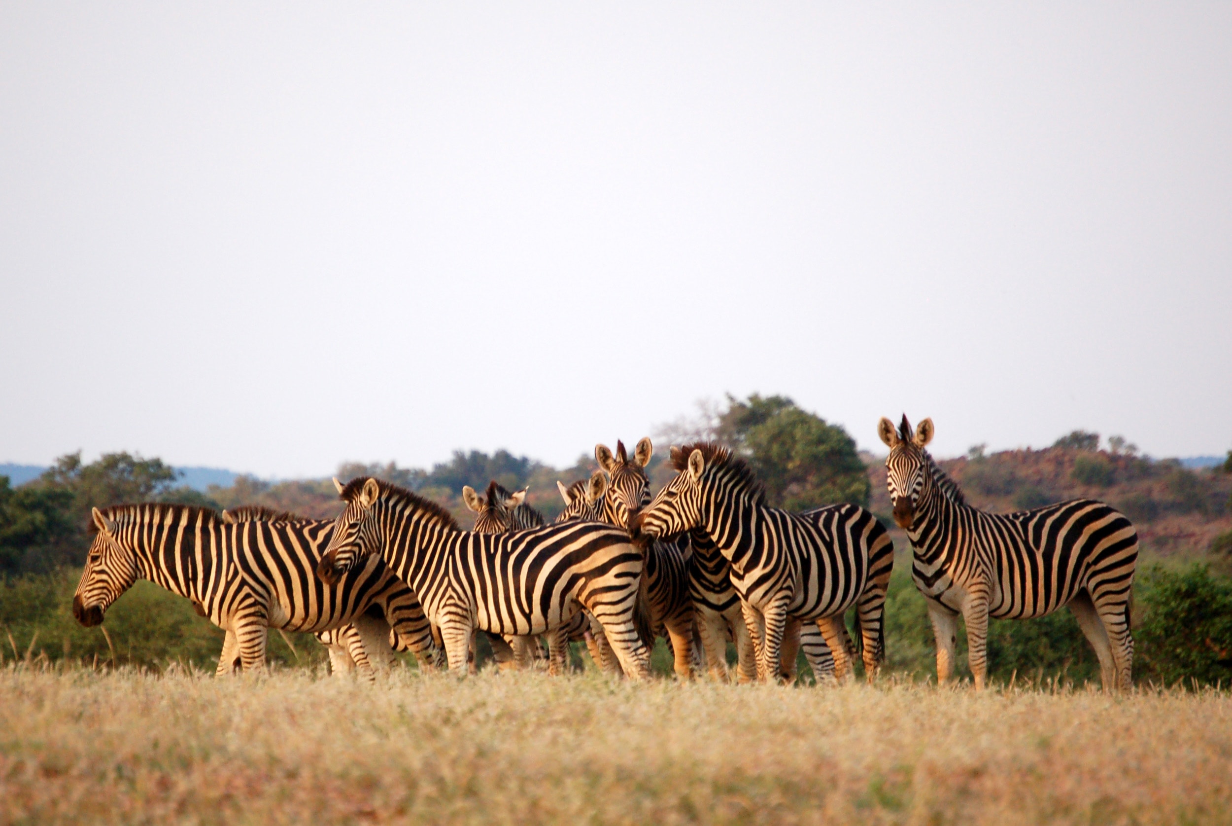 Central, Botswana