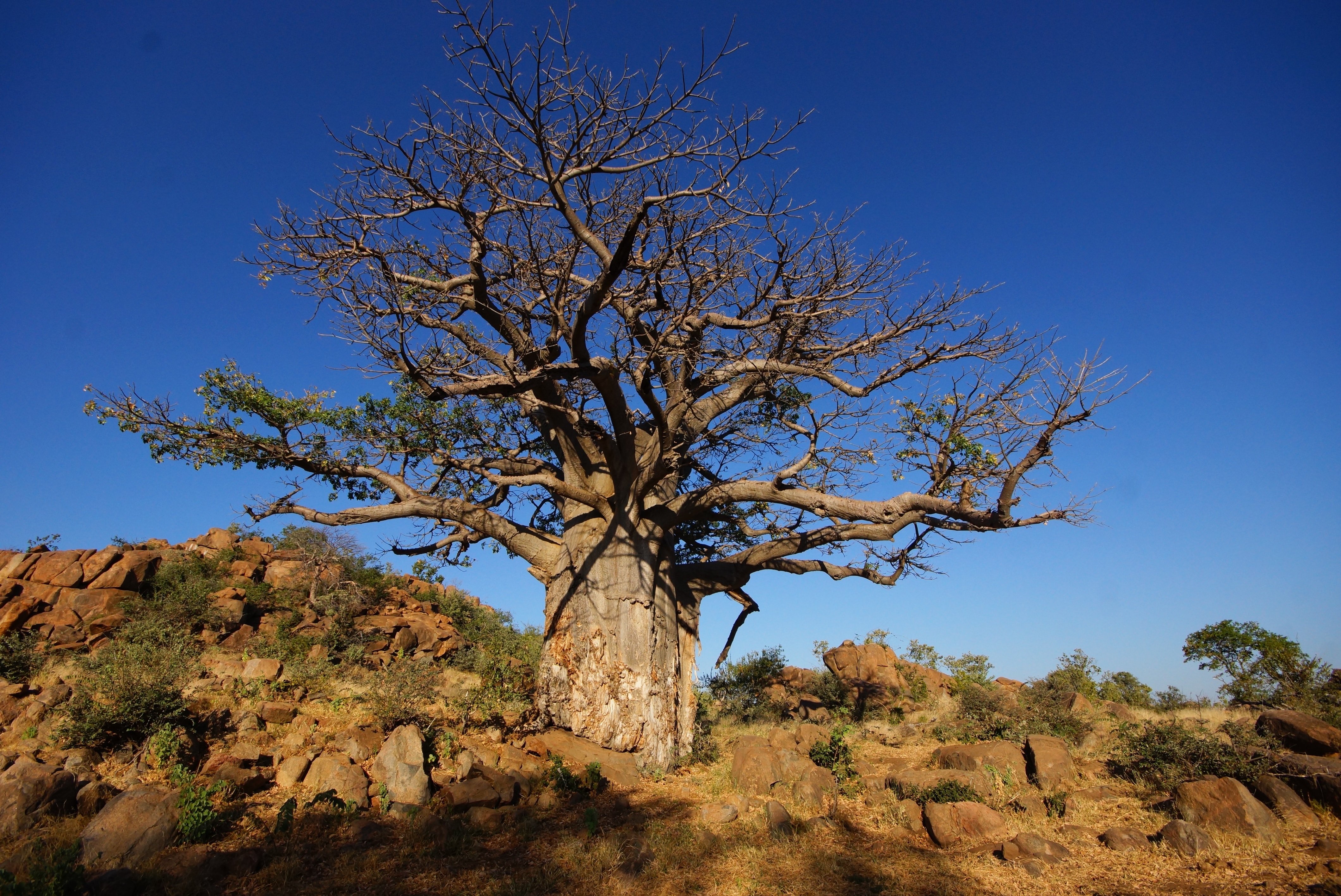 Central, Botswana