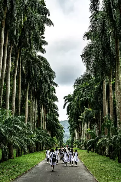 Baaladhaksa Mawatha, Kandy, Sri Lanka