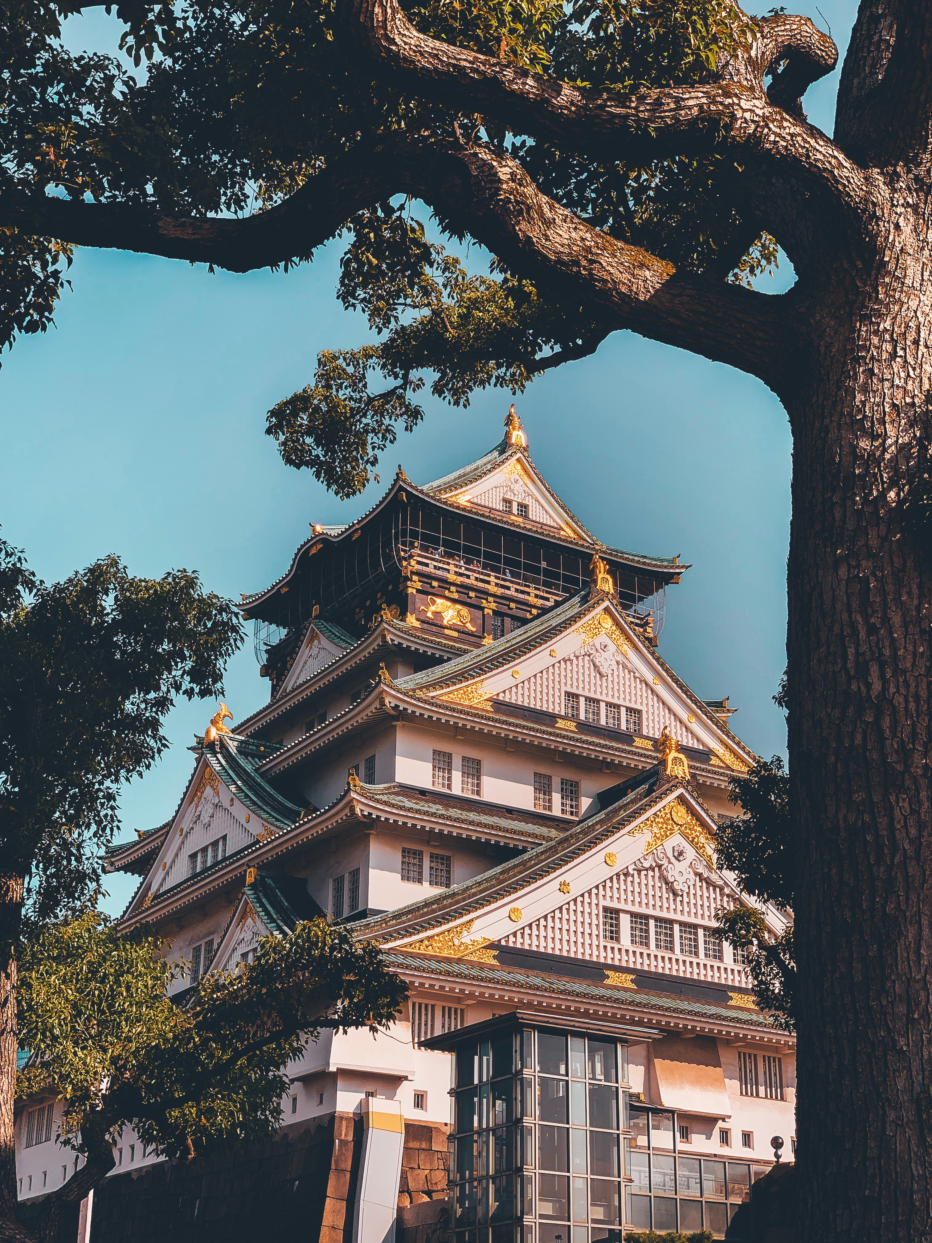 Osaka Castle