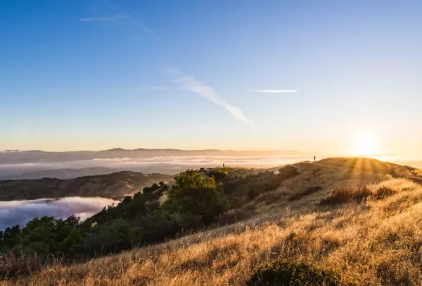 Bald Mountain Trail, Los Gatos, CA 95033, United States