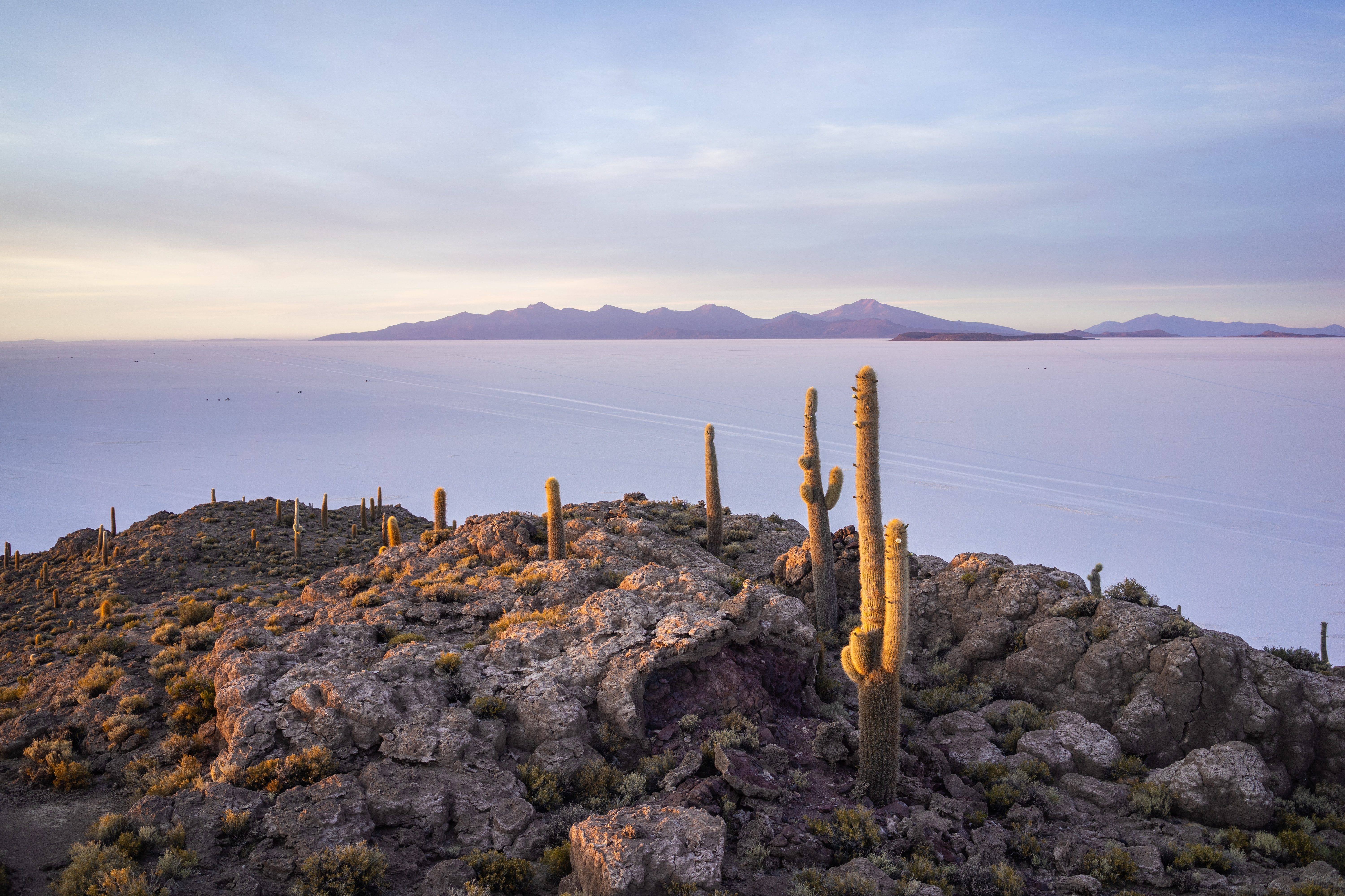 Uyuni (Thola Pampa), Potosí, Bolivia