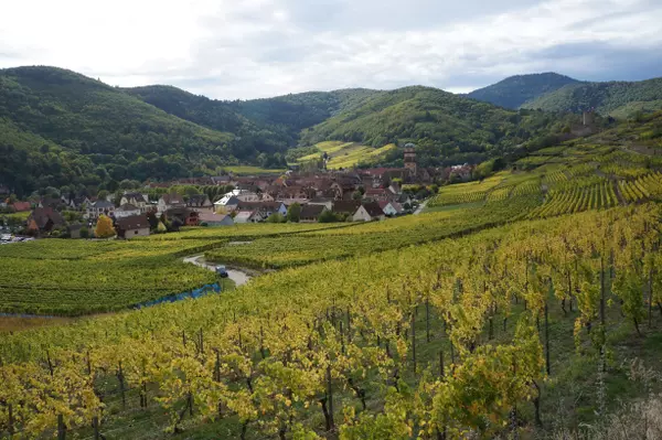 Kaysersberg, Kaysersberg Vignoble, Grand Est, France