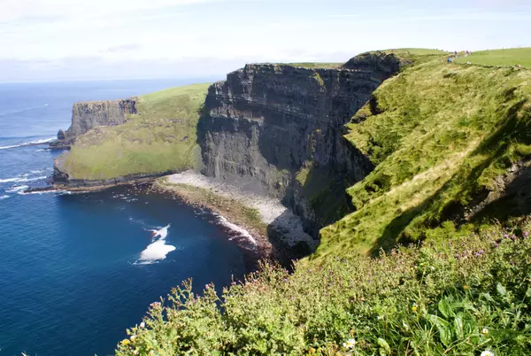 The Puffins Nest Café