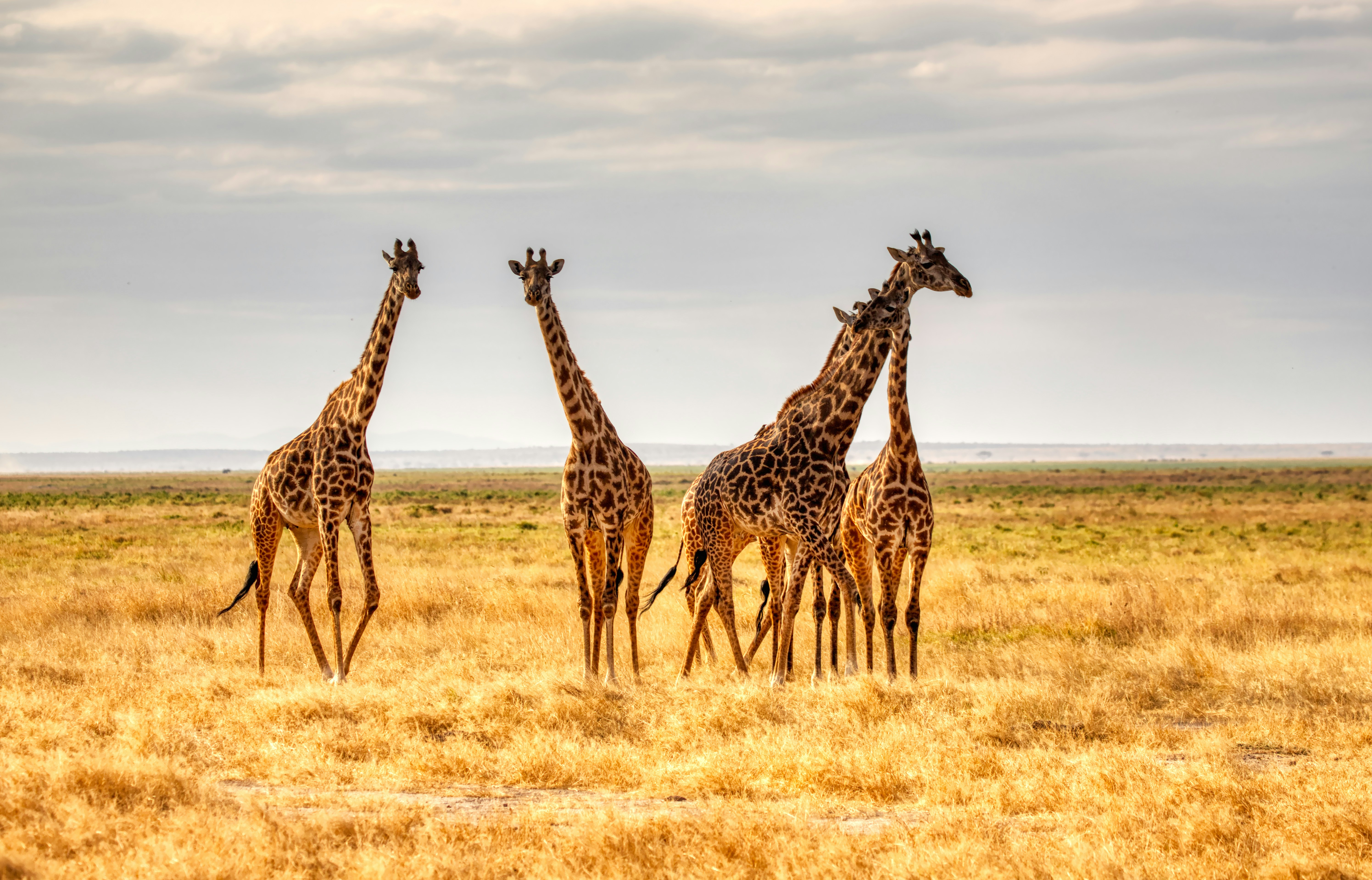 Kajiado, Kenya