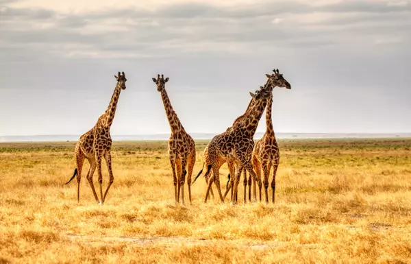 Kajiado, Kenya