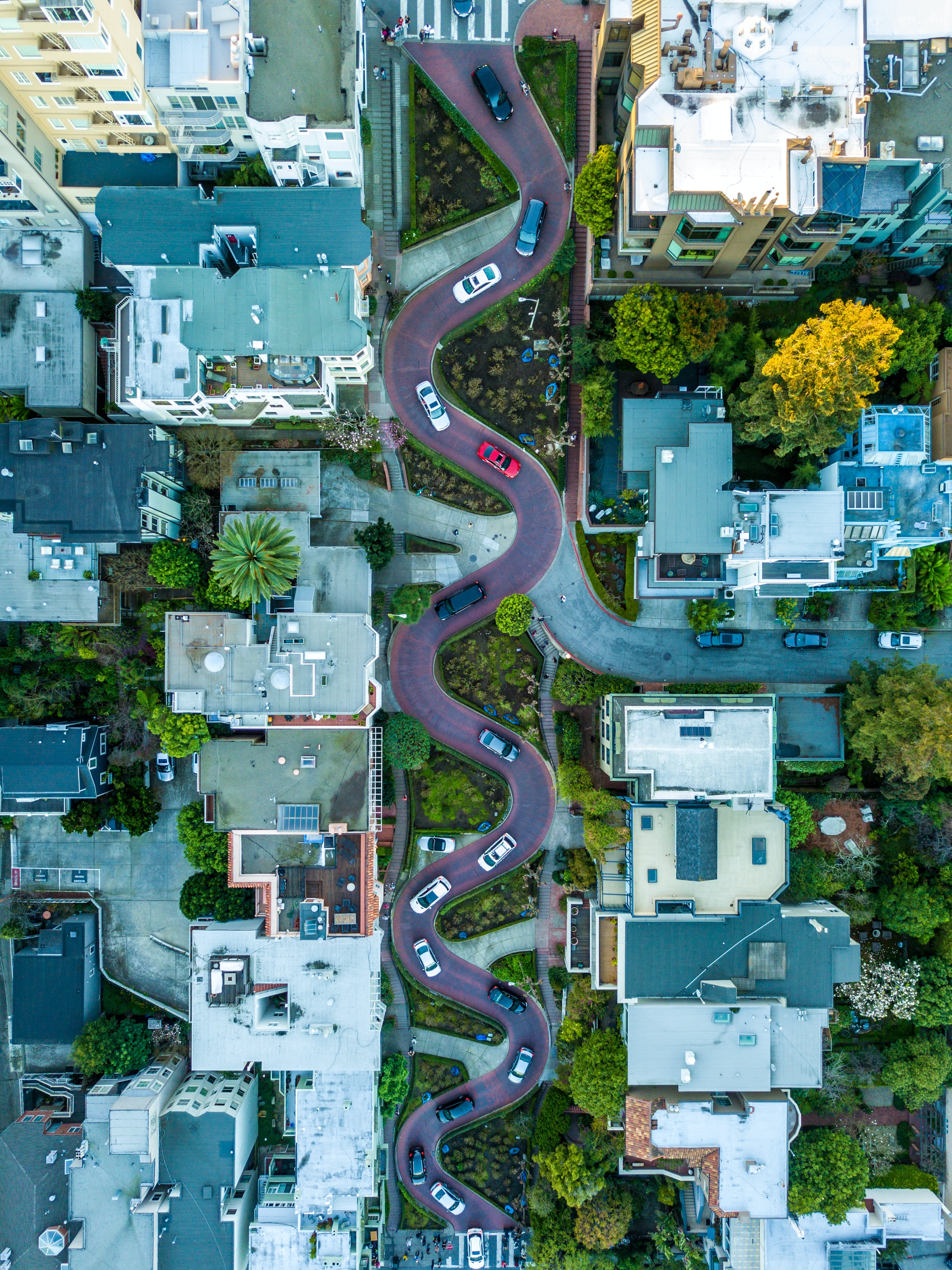 1549 Lombard St, San Francisco, CA 94123-3185, United States