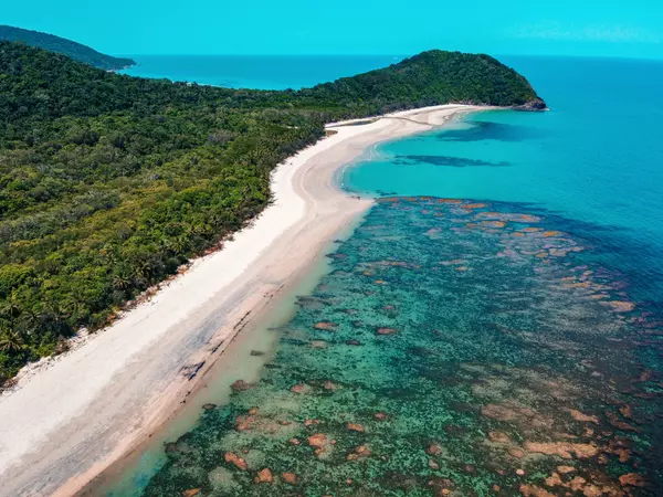 Daintree Rainforest - Cooper Creek Wilderness