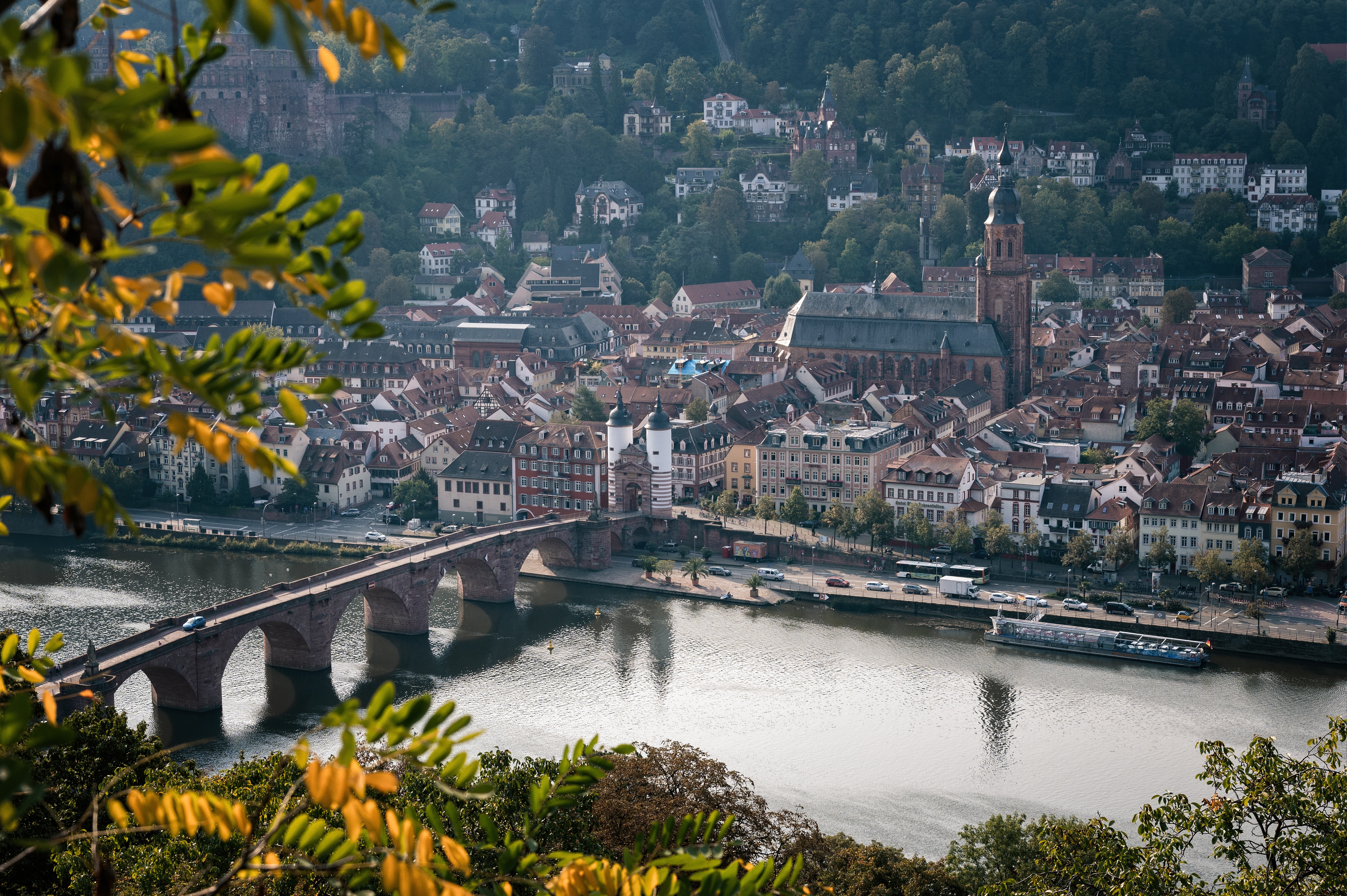 Philosophenweg, 69120 Heidelberg, Germany