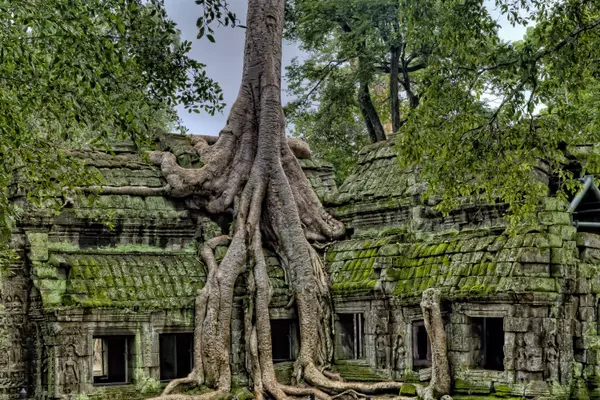 Small Circuit Street, 171205 Siem Reap, Cambodia