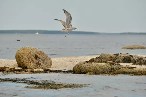 Deer Isle, ME, United States