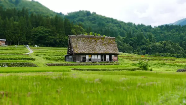 517, Hatotani, Shirakawa-mura, Ono-gun, Gifu 501-5629, Japan