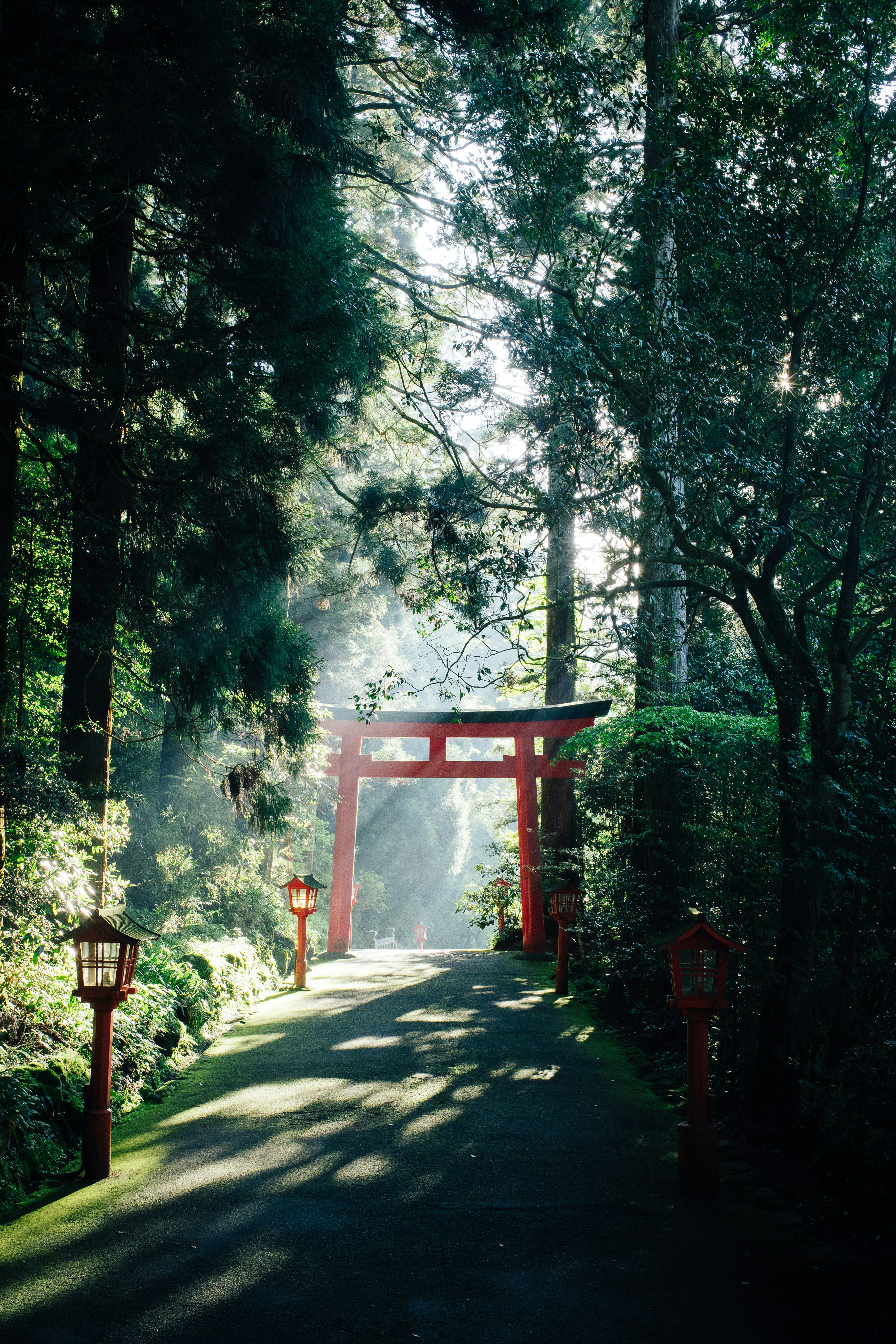 256, Yumoto, Hakone-machi, Ashigarashimo-gun, Kanagawa 250-0311, Japan