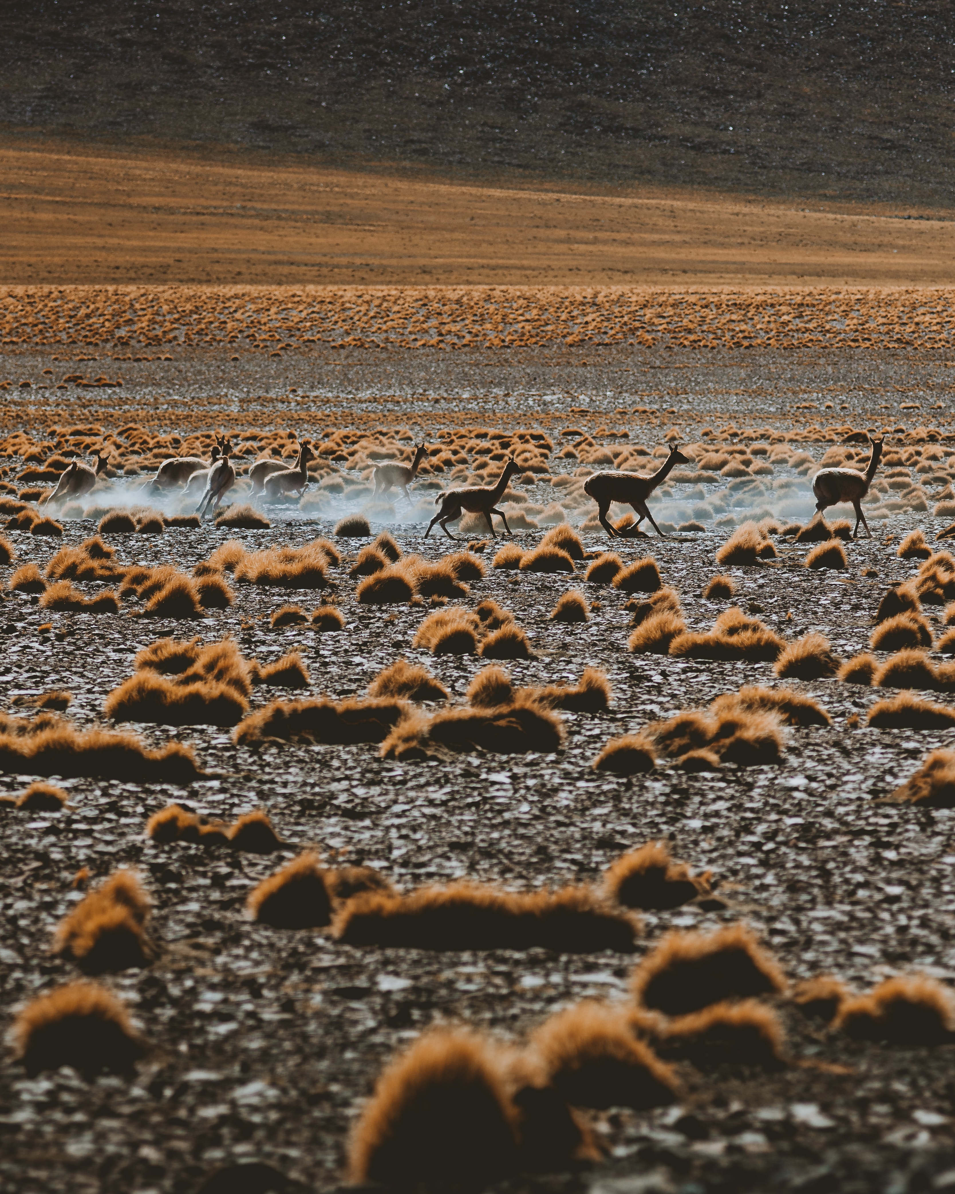 Antofagasta, Chile