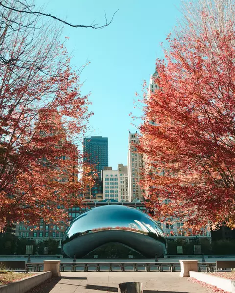 The Bean