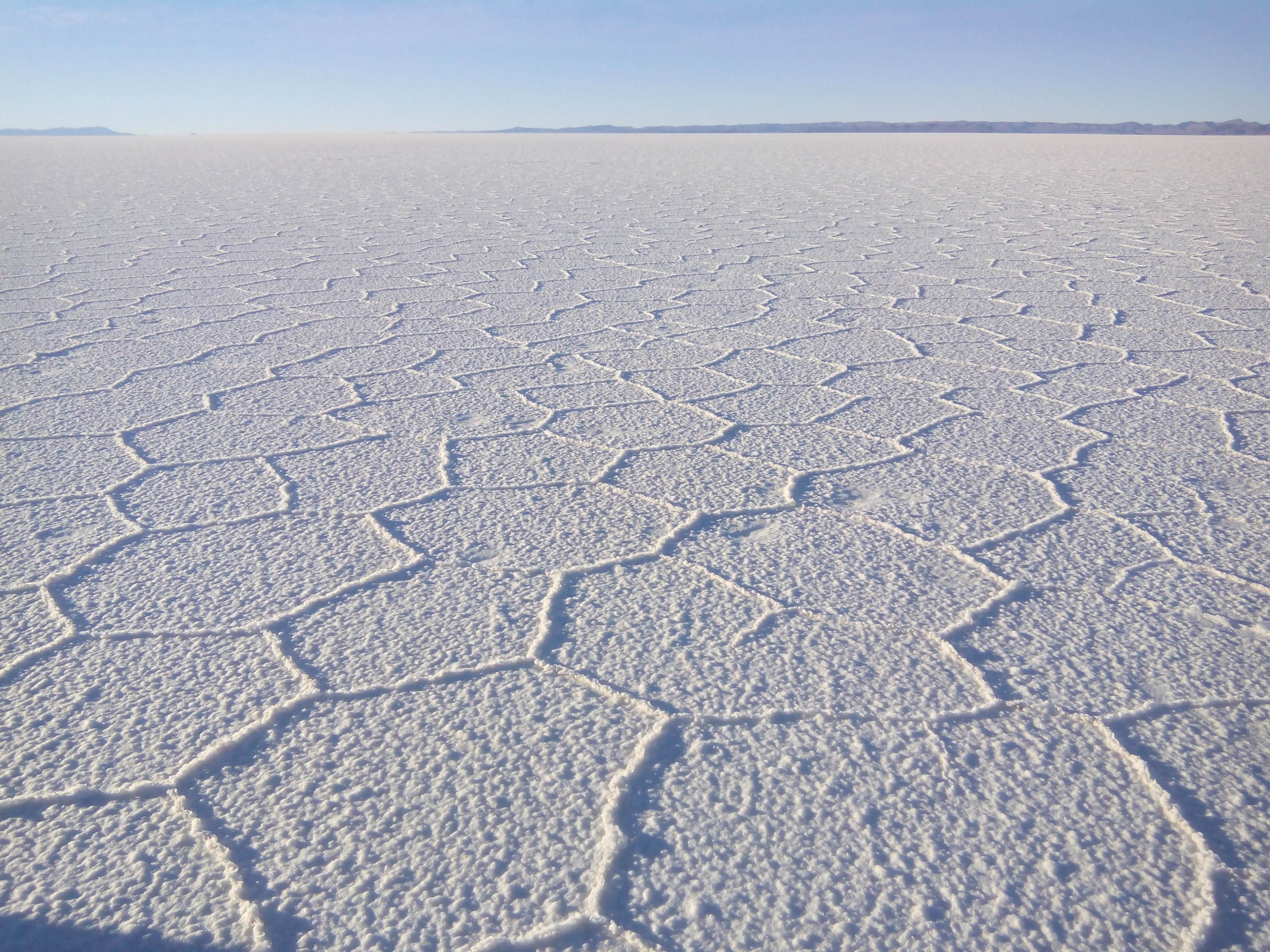 Perú, Uyuni (Thola Pampa), Bolivia