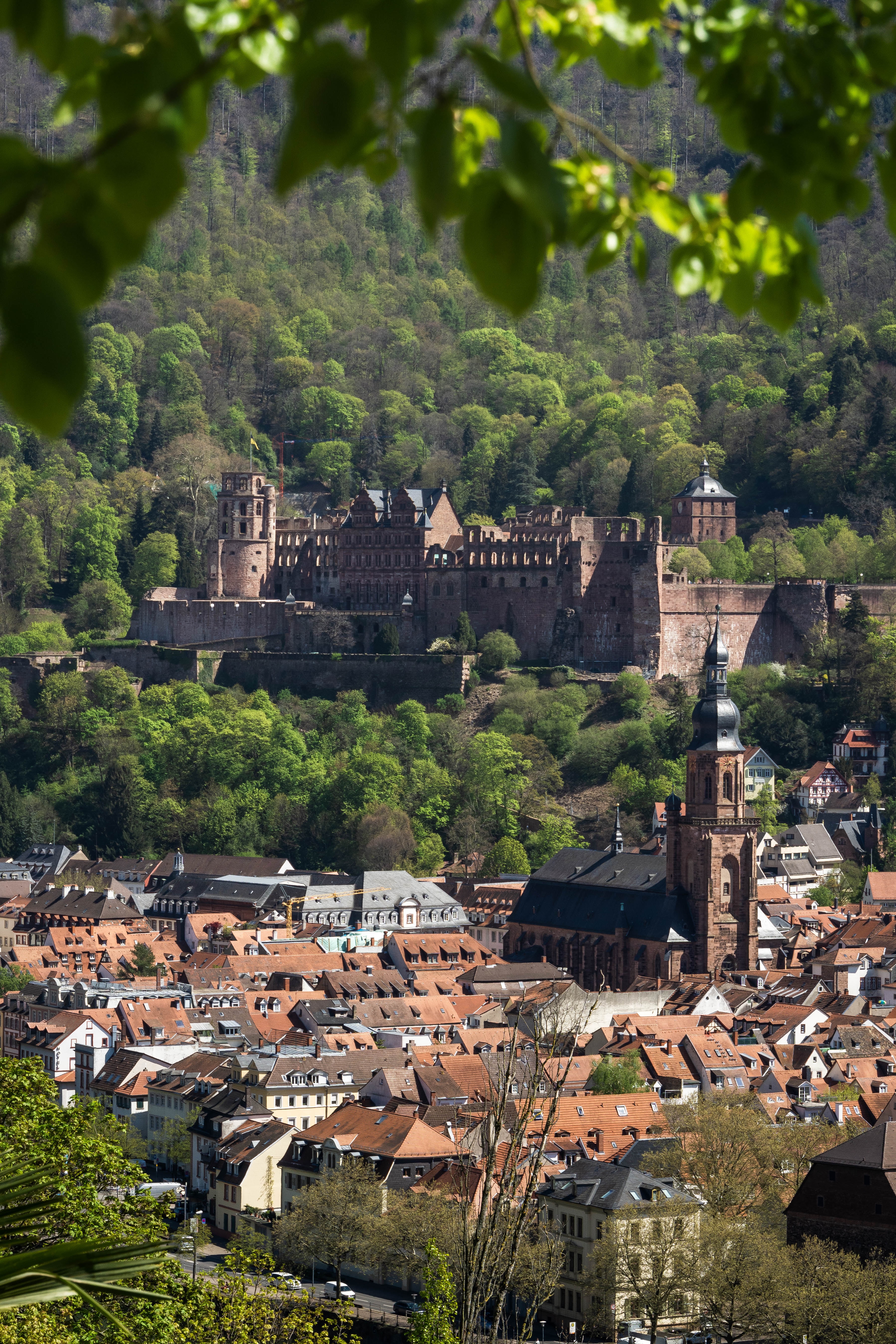 Philosophenweg, 69120 Heidelberg, Germany