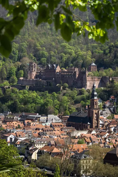 Philosophenweg, 69120 Heidelberg, Germany