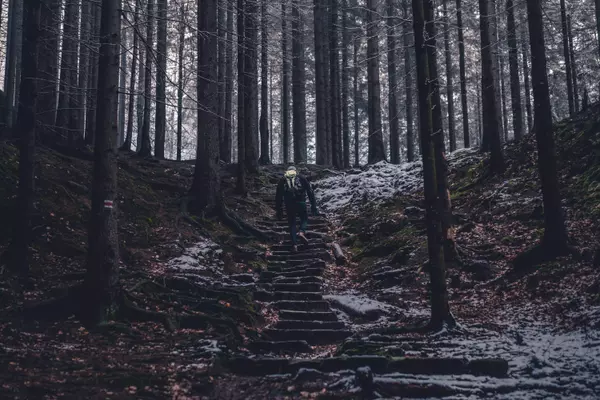 Mezní Louka, 405 02 Hrensko, Czechia