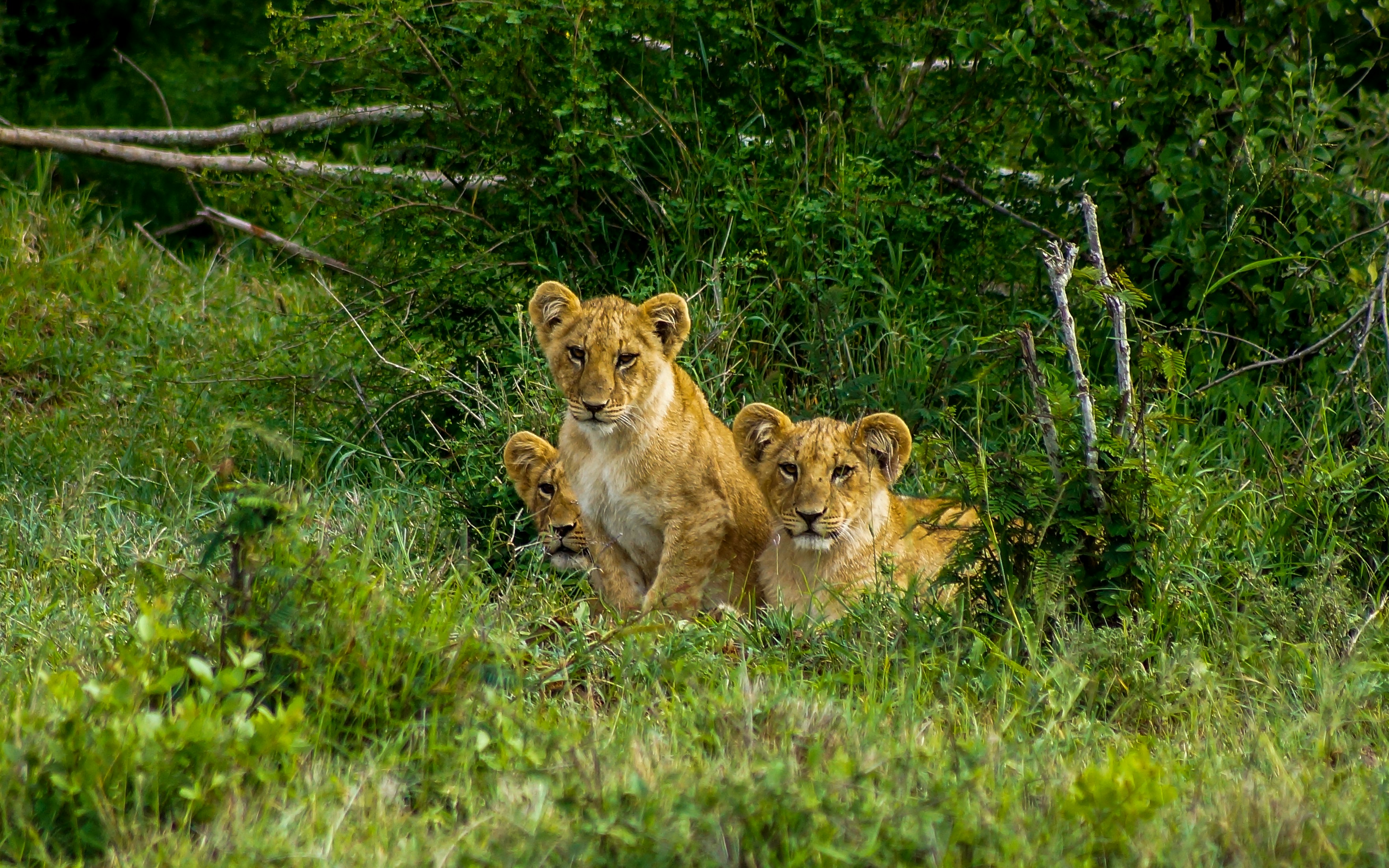 Laikipia, Kenya