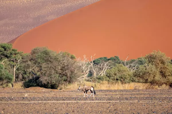 Gibeon, Hardap, Namibia