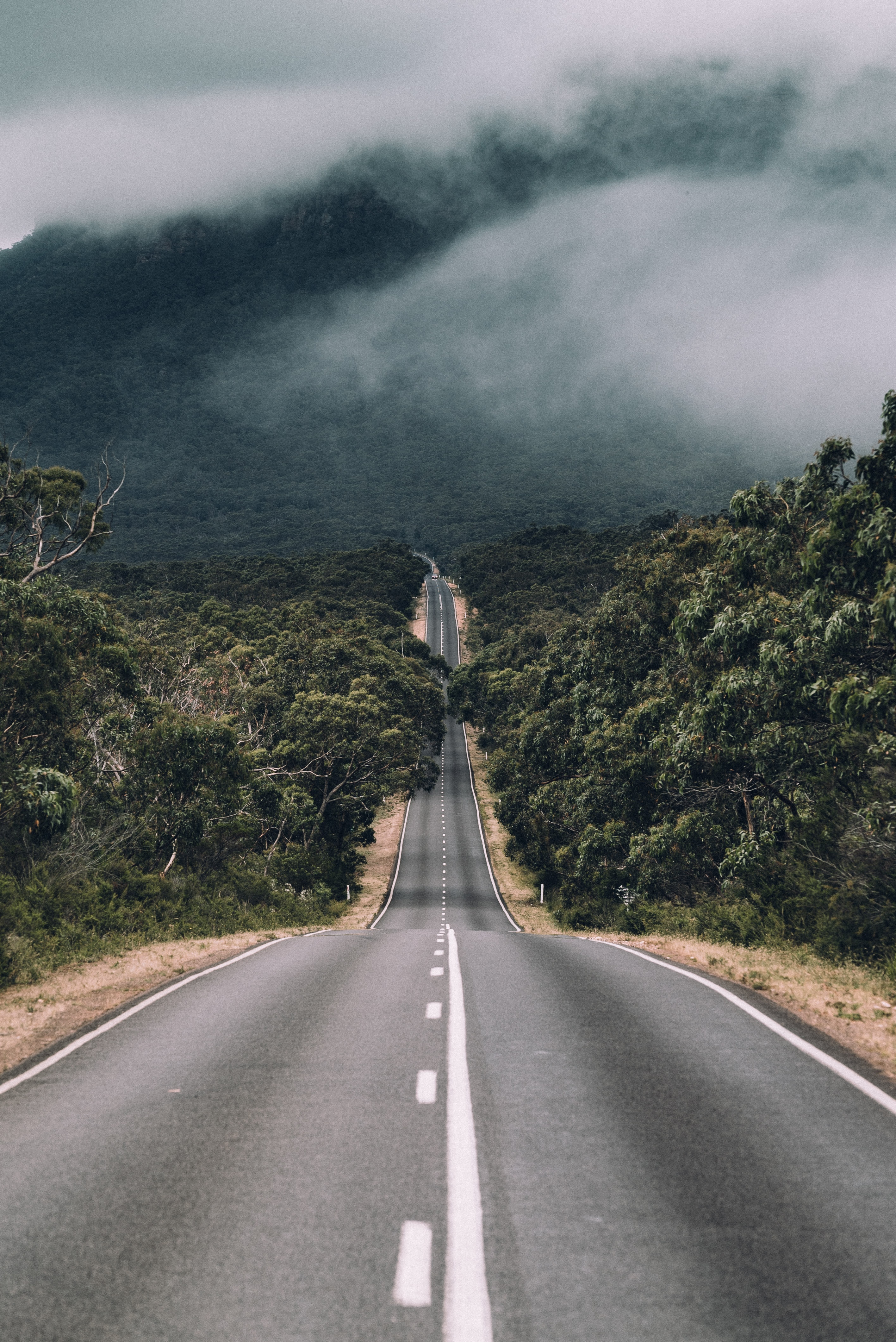 Glenelg River Rd, Glenisla VIC 3314, Australia