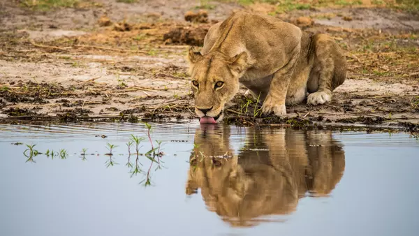 Ghanzi, Botswana