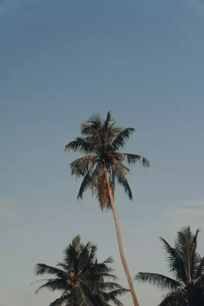 Jalan Wat Siam, Singapore 50, Singapore