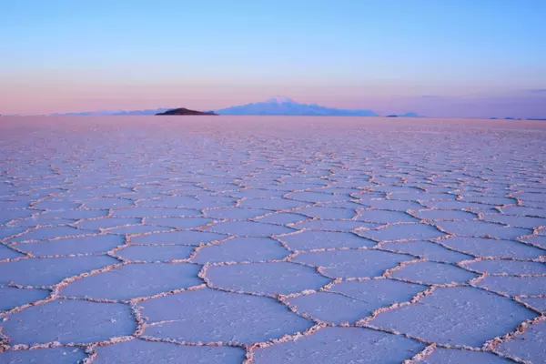 Uyuni (Thola Pampa), Potosí, Bolivia