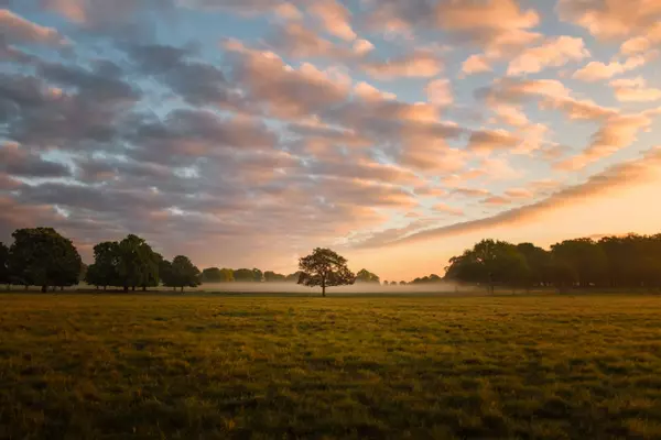 My Cleaners Richmond Park