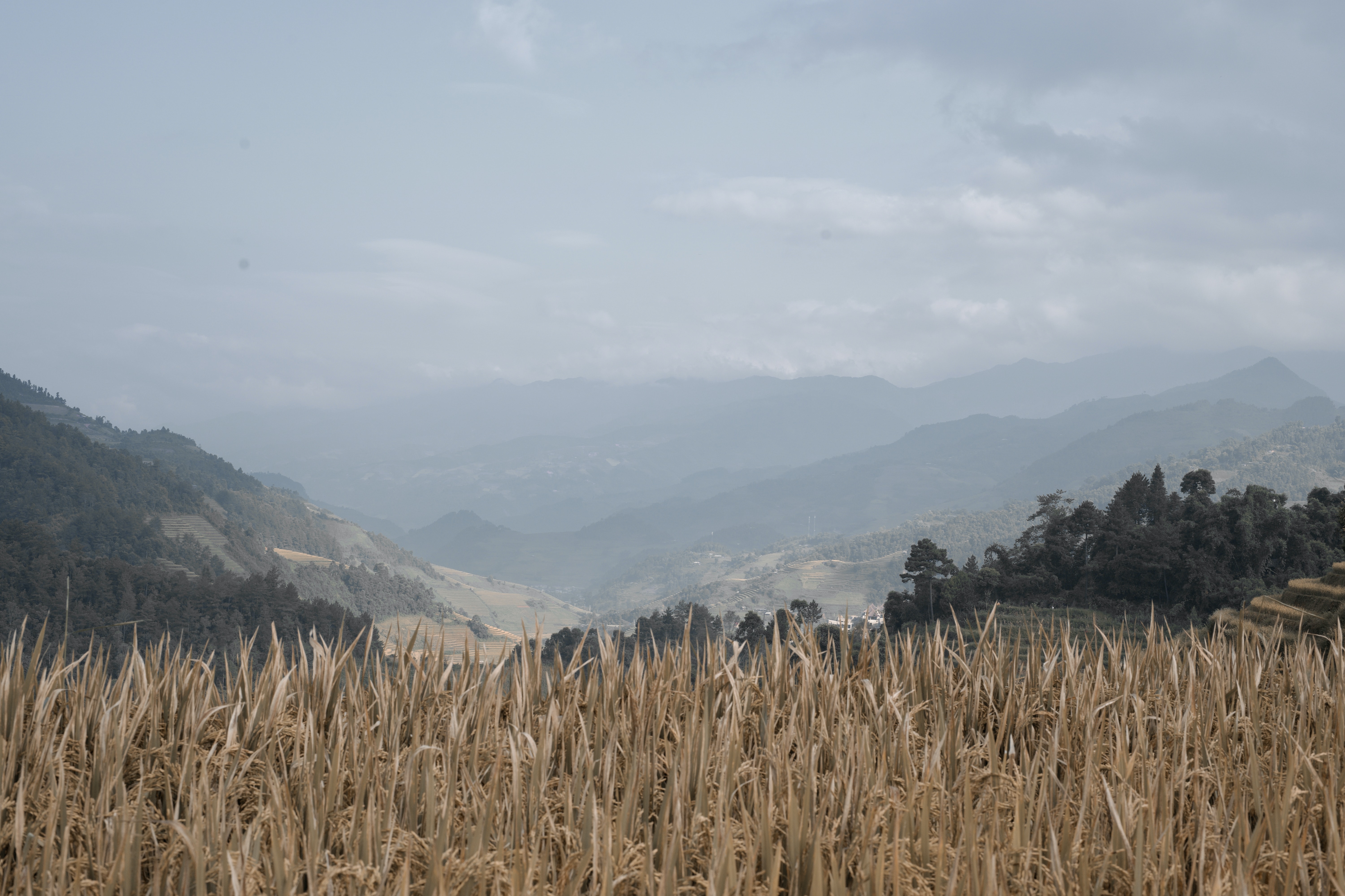 Huyen Mu Cang Chai, Vietnam