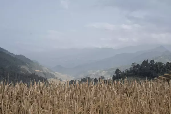 Huyen Mu Cang Chai, Vietnam