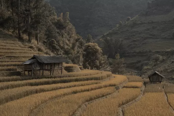 Huyen Mu Cang Chai, Vietnam