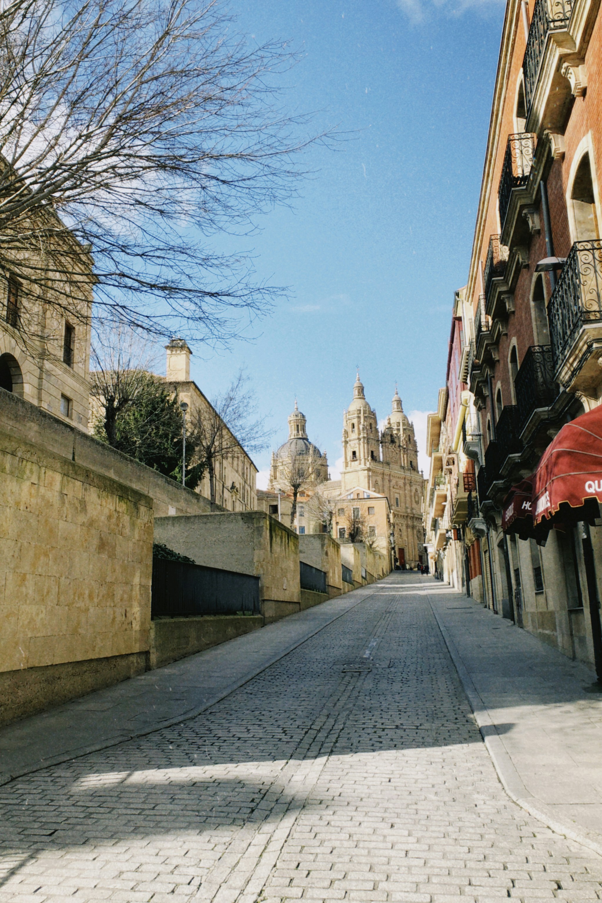 Avenida de los Reyes de España, 37008 Salamanca (Salamanca), Spain