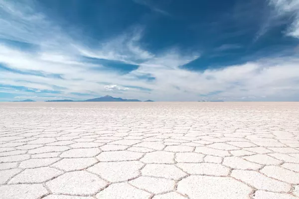 Uyuni (Thola Pampa), Potosí, Bolivia