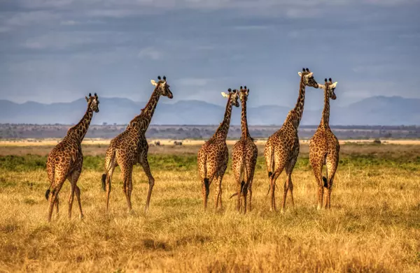 Kajiado, Kenya