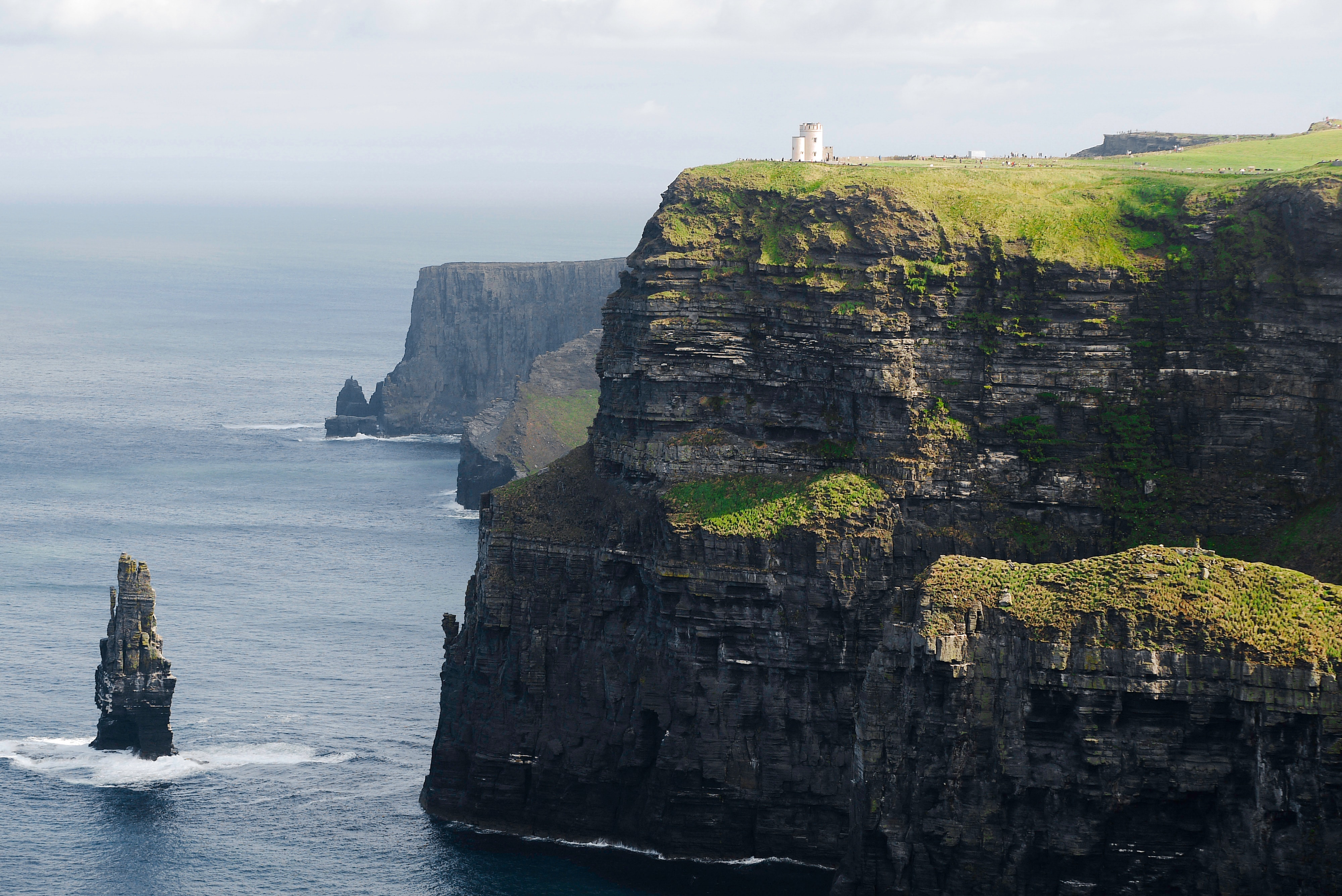 The Puffins Nest Café