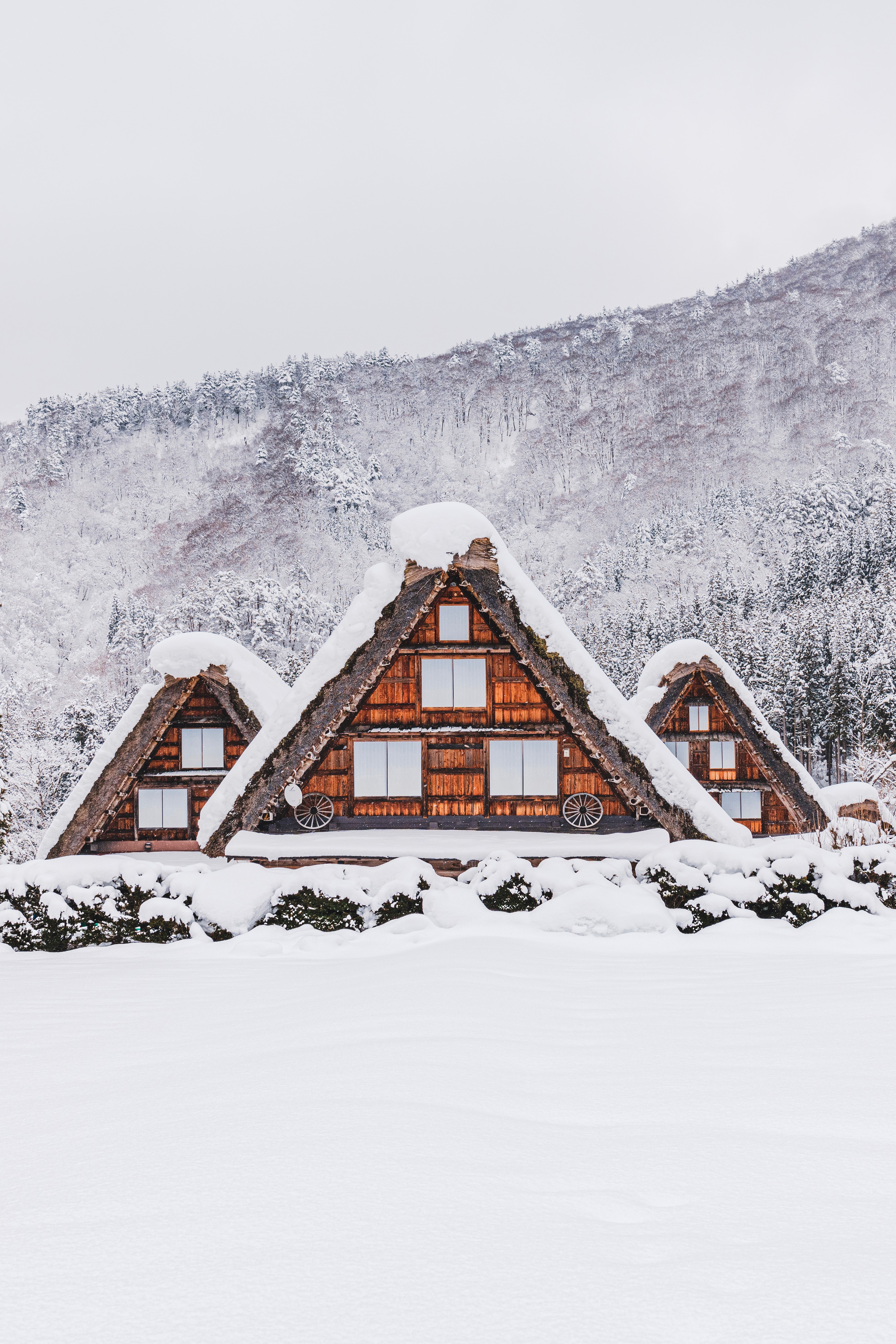 517, Hatotani, Shirakawa-mura, Ono-gun, Gifu 501-5629, Japan