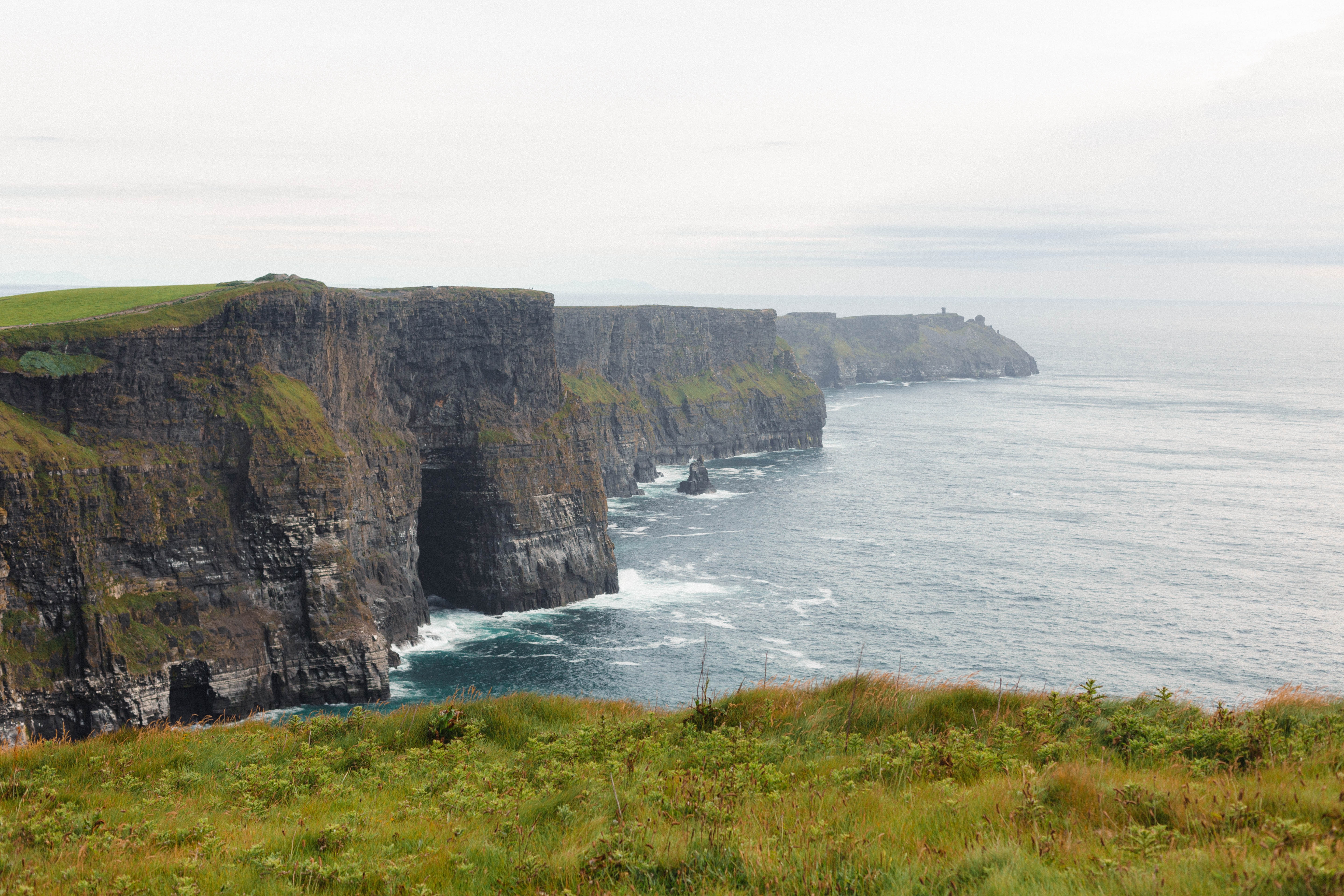 The Puffins Nest Café