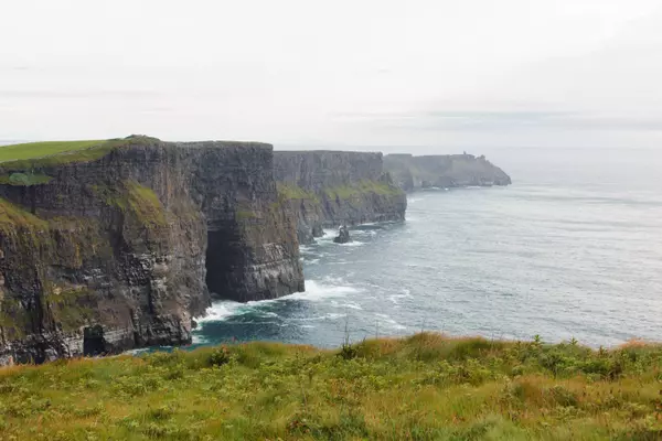 The Puffins Nest Café