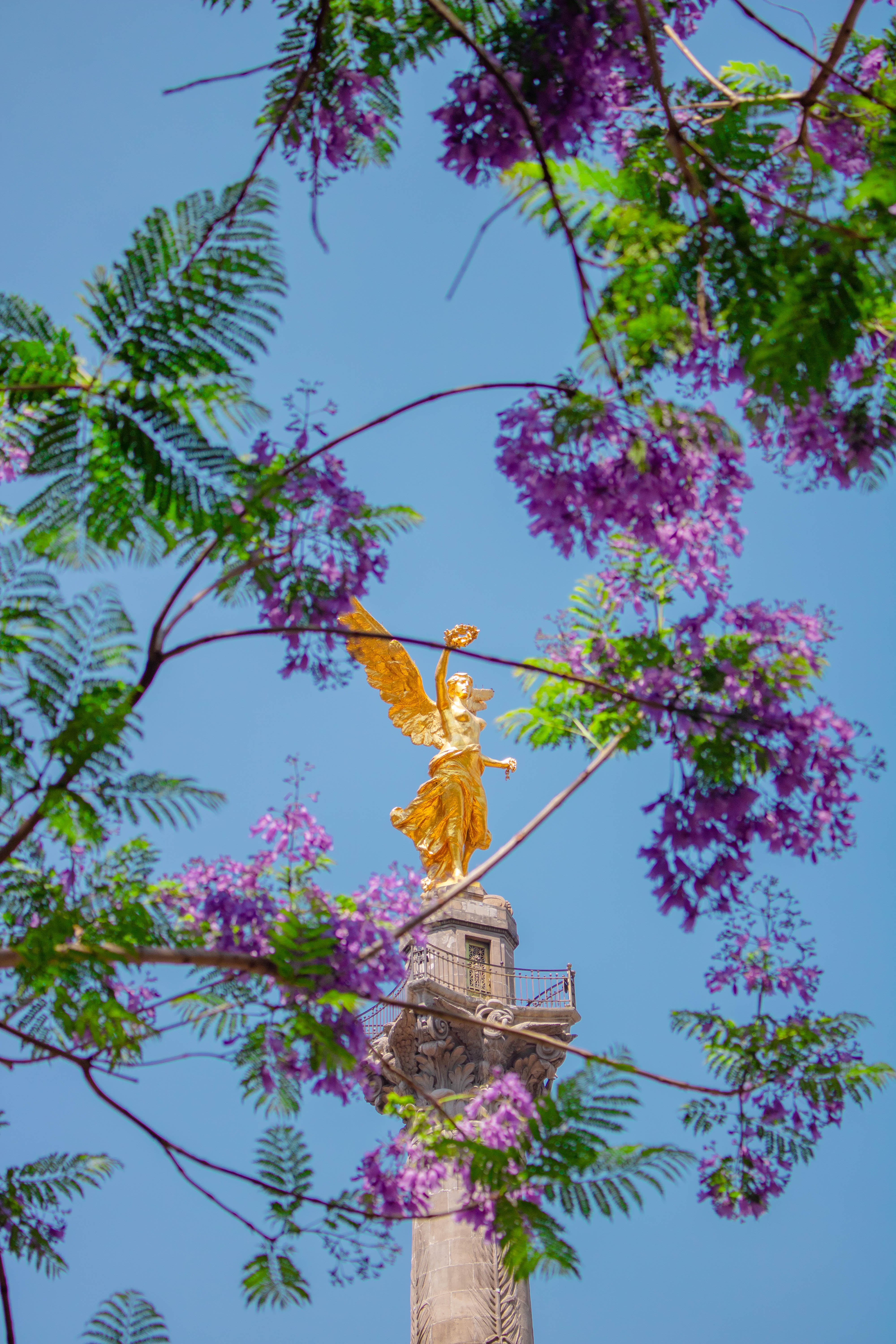 Paseo de la Reforma, Colonia Cuauhtémoc, 06500 Cuauhtémoc, CMX, Mexico