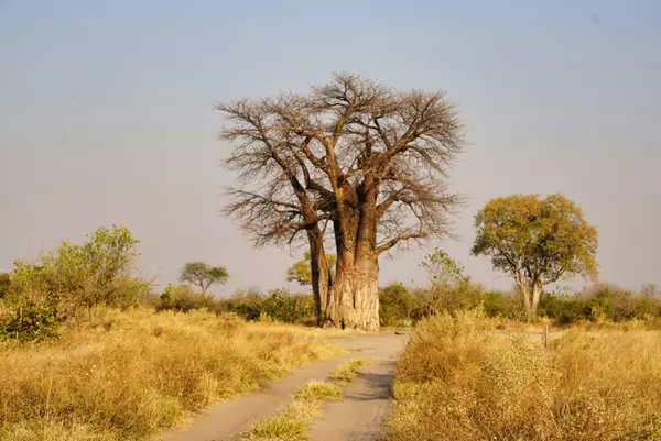 Ngamiland, Botswana